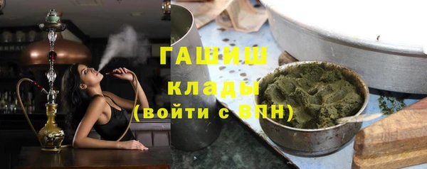 тгк Ельня