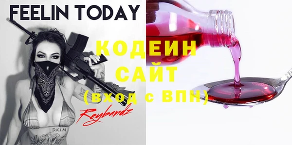 тгк Ельня