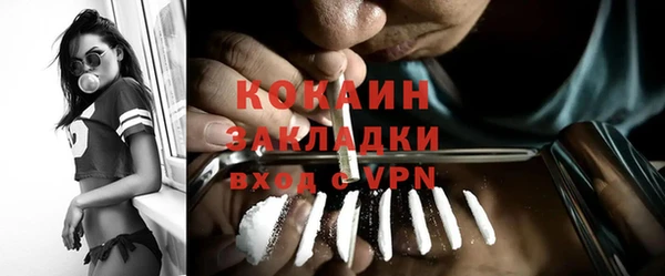 тгк Ельня
