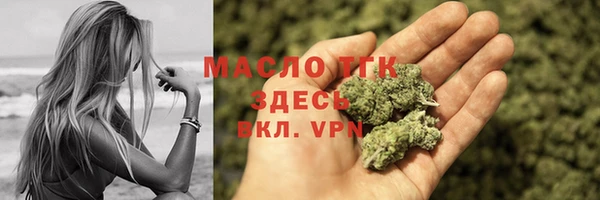 тгк Ельня