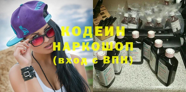 тгк Ельня