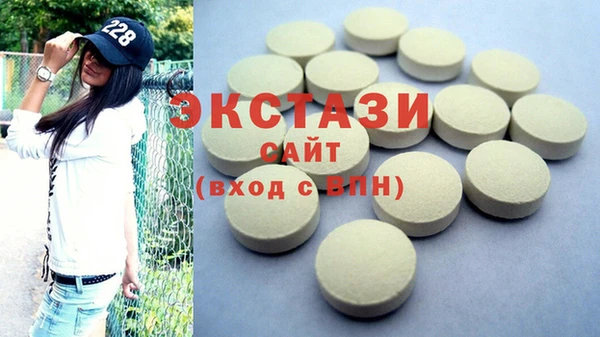 тгк Ельня