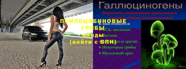 тгк Ельня