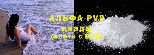 тгк Ельня