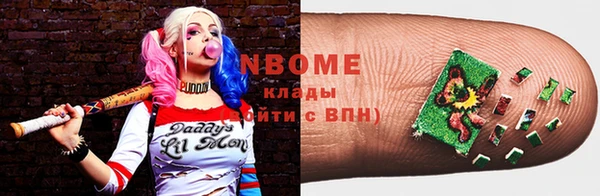тгк Ельня