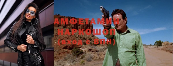 тгк Ельня
