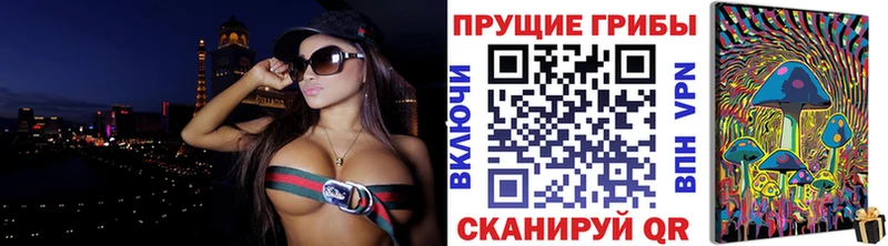 Галлюциногенные грибы Cubensis  Долгопрудный 