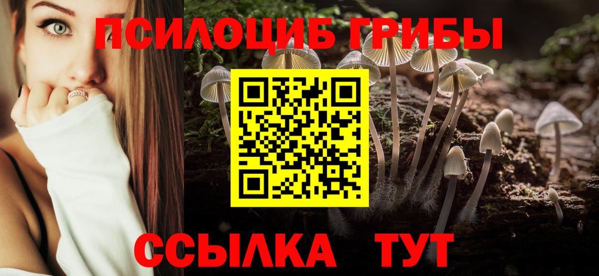 Галлюциногенные грибы Psilocybine cubensis Долгопрудный