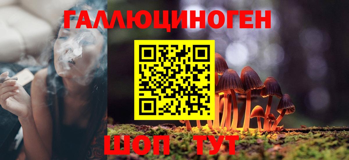 Псилоцибиновые грибы мухоморы  Вход с VPN  Долгопрудный 